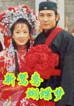 乡野传奇之新鸳鸯蝴蝶梦