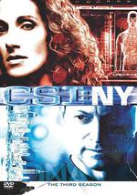 犯罪现场调查：纽约 第三季