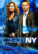 犯罪现场调查：纽约 第四季