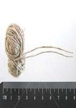 地平线系列：一根绳子有多长？