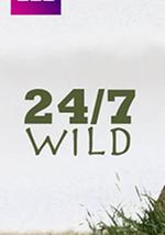 全天候野生动物追踪