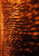 地平线：击退黑客