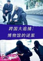 跨国大追捕：博物馆的谜案