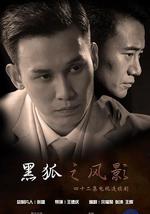 黑狐之风影
