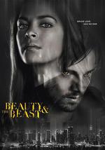 侠胆雄狮 第四季