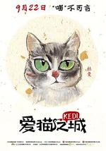 爱猫之城
