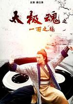 太极魂之一面之缘