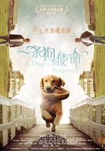 一条狗的使命