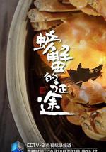 螃蟹的征途