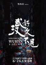 好久不见，武汉