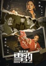 雪豹之暗战天机