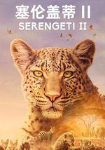 塞伦盖蒂 第二季