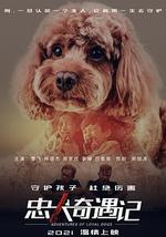忠犬奇遇记