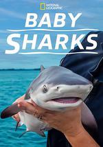 鲨鱼宝宝成长记