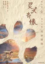 灵犬奇缘