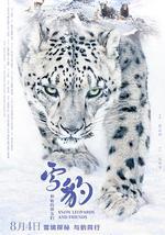 雪豹和她的朋友们