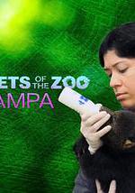 动物园秘辛：坦帕湾 第四季