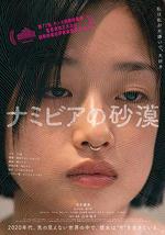 纳米比亚的沙漠