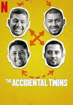 双胞胎乌龙：翻倍的兄弟情