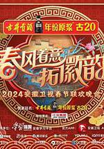 2024安徽卫视春节联欢晚会