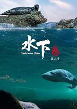 水下中国 第二季