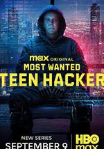 头号通缉犯：少年黑客