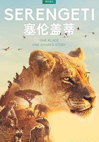 塞伦盖蒂 第一季